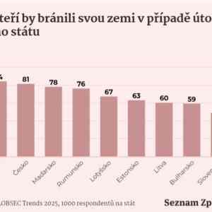 Obrázek '19 procent dezolatu v CR'