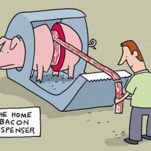 Obrázek '1 bacon dispenser'