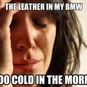 Obrázek '1st world cold car leather'