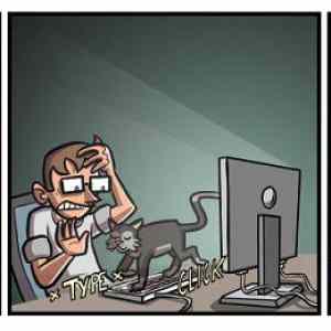 Obrázek '2016-07-15-738&nbsp;Social-Cat'