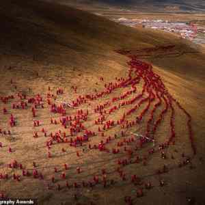 Obrázek '2019 Sony World Photography Awards - Lifeng Chen'