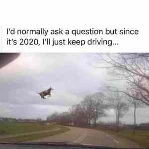 Obrázek '2020 just driving'