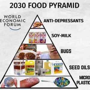 Obrázek '2030 Food Pyramid'