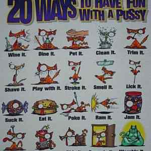 Obrázek '20 ways to have fun with a pussy'