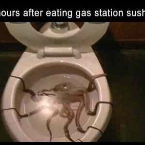 Obrázek '2 Hours After Gas Station Sushi'