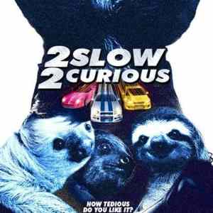 Obrázek '2 slow 2 curious'