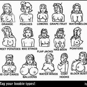 Obrázek '2boobie-type-identification-facebook-tagging-meme-picture'