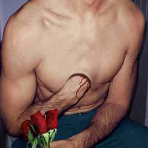 Obrázek '3-Roses'