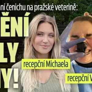 Obrázek '3 milovnice zvirat'