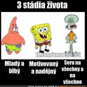 Obrázek '3 stadia zivota'