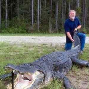 Obrázek '400-pound Gennady Florida'