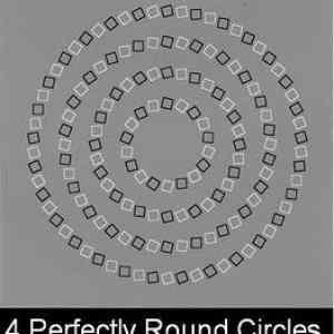 Obrázek '4 perfect circles'