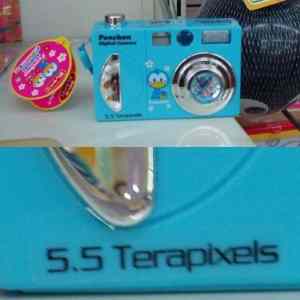 Obrázek '5.5 Terapixels Camera'