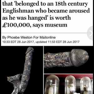 Obrázek '7-inch long mummified penis'