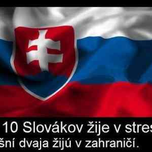 Obrázek '8 z 10 slovakov'