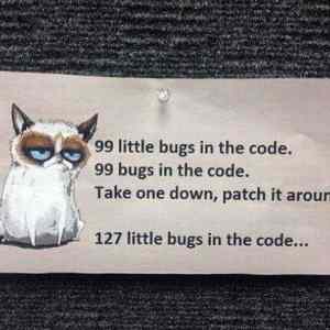 Obrázek '99 Bugs In The Code'