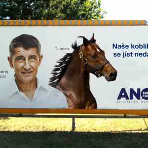 Obrázek 'ANOOOOO'