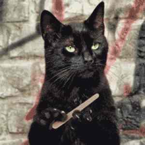 Obrázek 'A - so i heard you dont like kittehs'