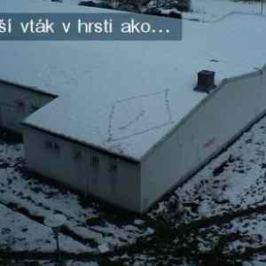 Obrázek 'A - vtak v hrsti'