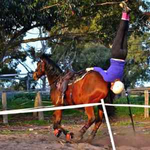 Obrázek 'A&nbsp;Fun&nbsp;Trick'