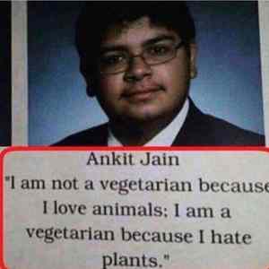 Obrázek 'A VegetariaN'