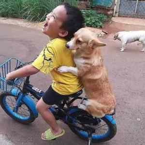 Obrázek 'A boy and his dog'