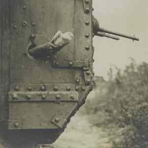 Obrázek 'A carrier pigeon being released from a British tank August 9th 1918'
