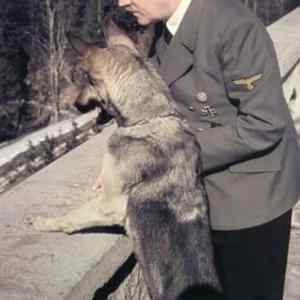 Obrázek 'A&nbsp;mean&nbsp;guy'