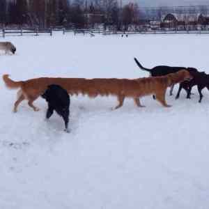 Obrázek 'A&nbsp;panoramic&nbsp;gone&nbsp;wrong.&nbsp;What&nbsp;have&nbsp;I&nbsp;created'