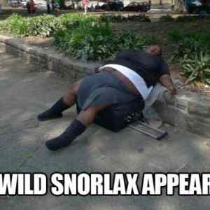 Obrázek 'A wild snorlax'