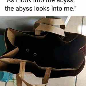 Obrázek 'Abyss looked back'
