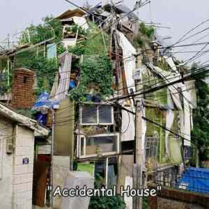 Obrázek 'Accidental House'
