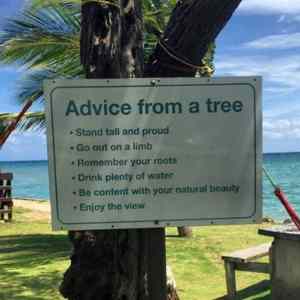 Obrázek 'Advice From A Tree'