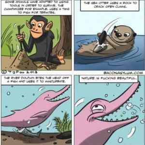 Obrázek 'Ahh&nbsp;Nature'