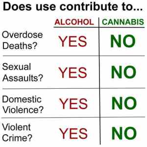 Obrázek 'Alcohol versus cannabis'