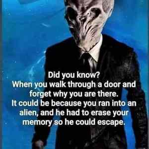 Obrázek 'Alien&nbsp;encounter'