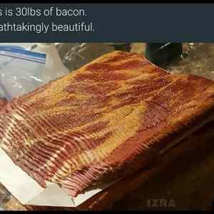 Obrázek 'All Of This Bacon'