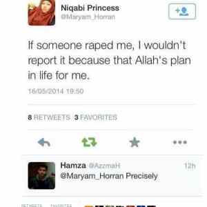 Obrázek 'Allah logic'
