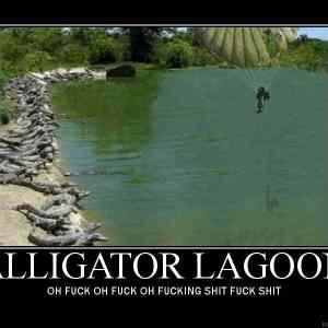 Obrázek 'Alligator lagoon'