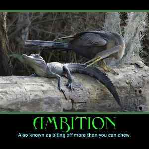 Obrázek 'Ambition'