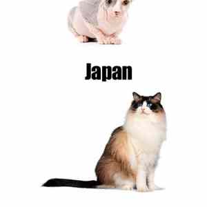 Obrázek 'America vs Japan 24-02-2012'