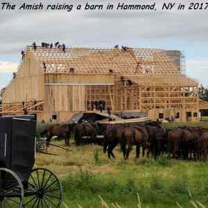 Obrázek 'AmishRaising'