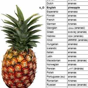 Obrázek 'Ananas english language'
