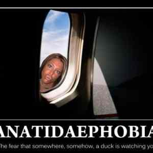 Obrázek 'Anatidaephobia - 30-04-2012'