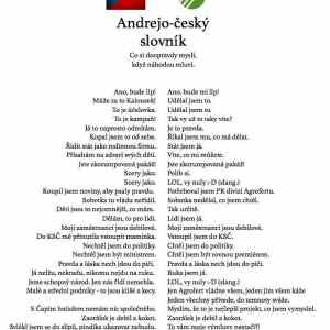 Obrázek 'Andrejo-Cesky slovnik'