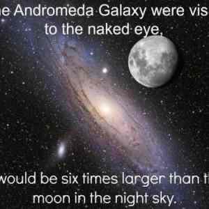 Obrázek 'Andromeda big'