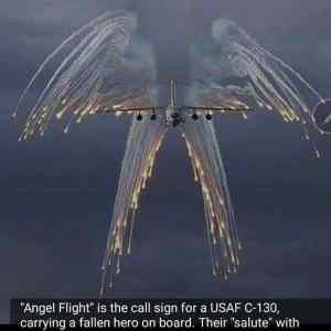 Obrázek 'Angel Flight'