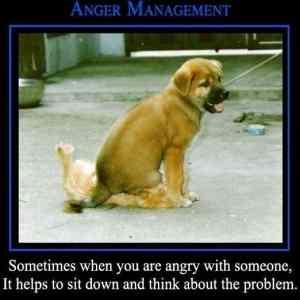 Obrázek 'Anger Management 06-01-2012'