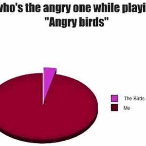 Obrázek 'Angry Birds 290511'