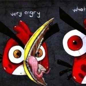Obrázek 'Angry today'